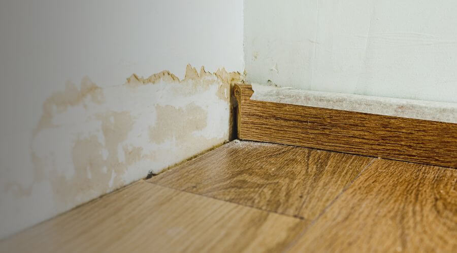 Why choose Expert Water Restoration for water damage restoration in Coden, AL